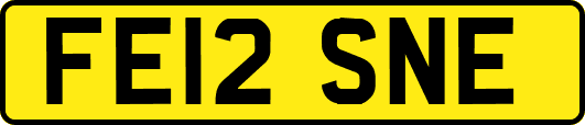 FE12SNE