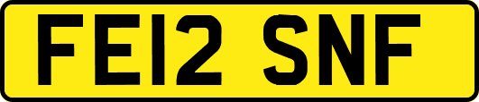 FE12SNF