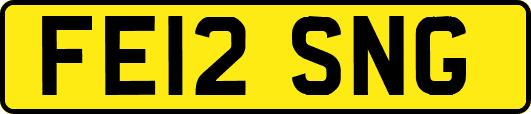 FE12SNG