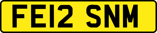 FE12SNM