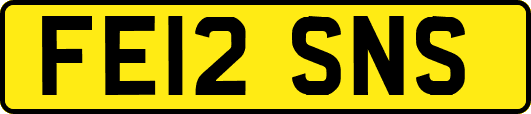 FE12SNS