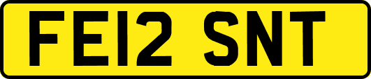 FE12SNT