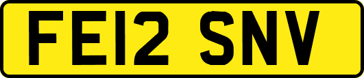 FE12SNV