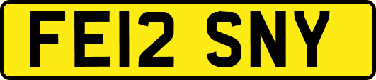 FE12SNY