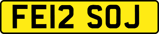 FE12SOJ