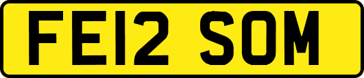 FE12SOM