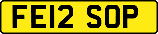 FE12SOP