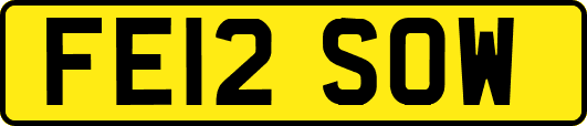 FE12SOW