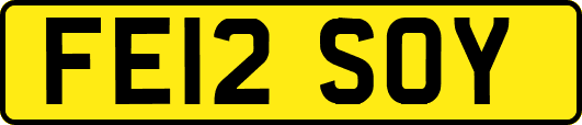 FE12SOY