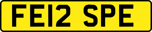 FE12SPE