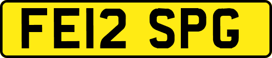 FE12SPG