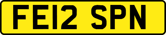 FE12SPN