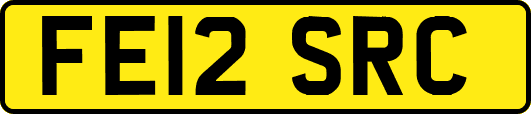 FE12SRC