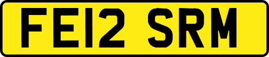 FE12SRM