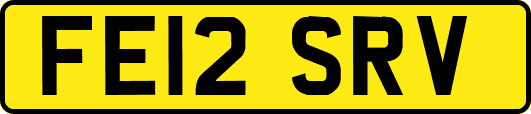 FE12SRV