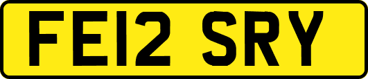 FE12SRY