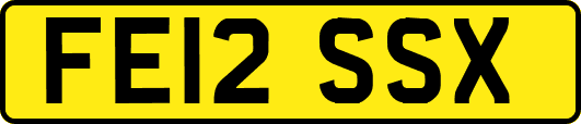 FE12SSX