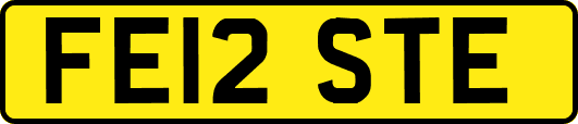 FE12STE