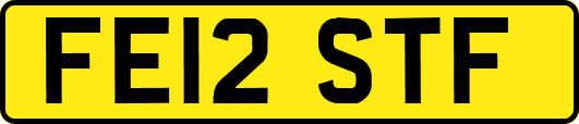 FE12STF