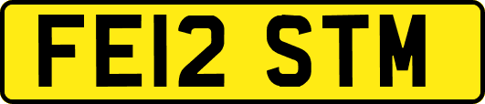 FE12STM
