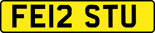 FE12STU
