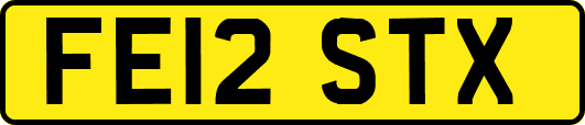 FE12STX