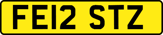 FE12STZ