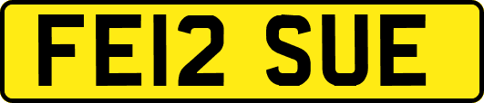 FE12SUE