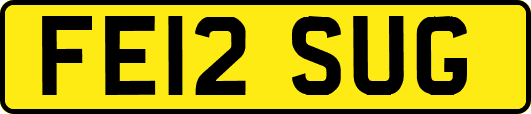 FE12SUG