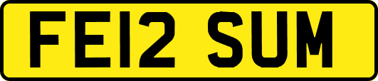 FE12SUM