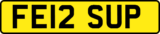 FE12SUP