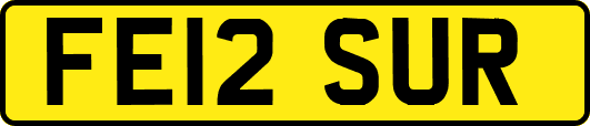 FE12SUR