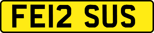 FE12SUS