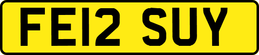 FE12SUY