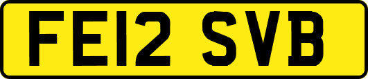 FE12SVB