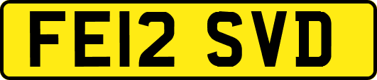 FE12SVD