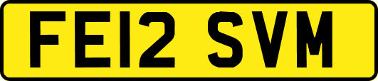 FE12SVM
