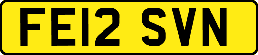 FE12SVN