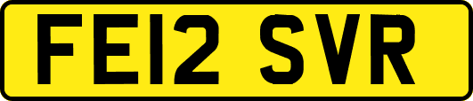 FE12SVR