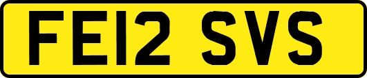 FE12SVS