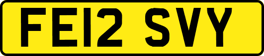 FE12SVY