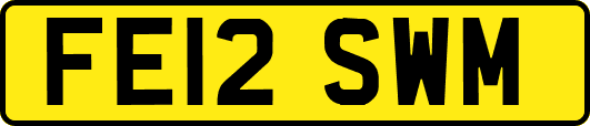 FE12SWM