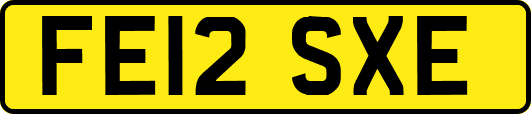FE12SXE