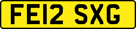 FE12SXG