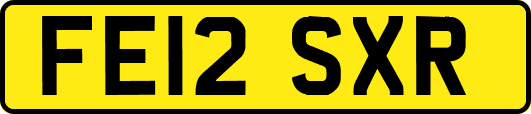 FE12SXR