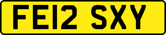 FE12SXY