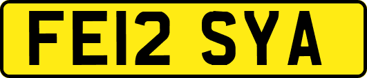 FE12SYA