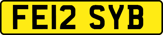 FE12SYB