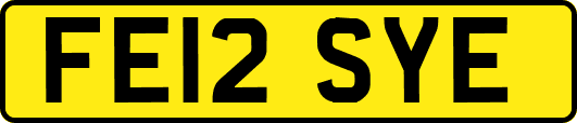 FE12SYE