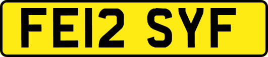 FE12SYF